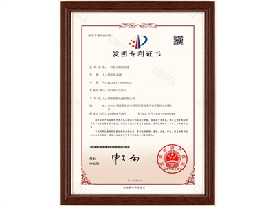 發明專利（1）